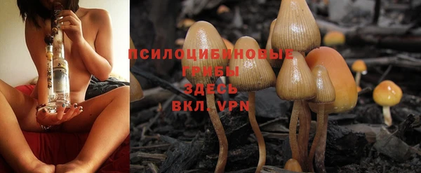 ГАЛЛЮЦИНОГЕННЫЕ ГРИБЫ Нефтекумск