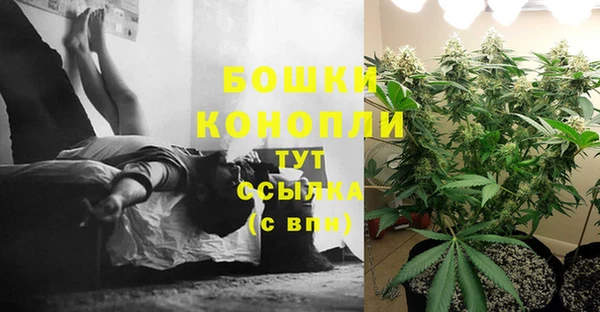 амф Горнозаводск