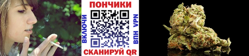 Шишки марихуана конопля  где найти   Печоры 